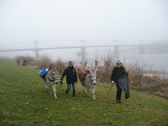 Loire Propre 2012 (13).jpg